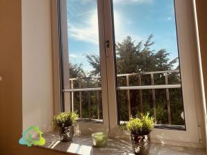 Pronájem bytu 4+1, Praha - Střešovice, Farní, 100 m2