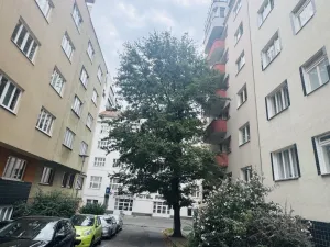 Pronájem bytu 2+1, Brno - Veveří, Mezírka, 73 m2