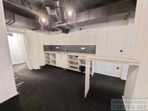 Pronájem komerční nemovitosti, Krnov - Pod Bezručovým vrchem, Albrechtická, 80 m2