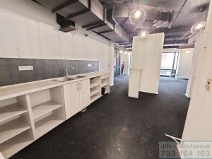 Pronájem komerční nemovitosti, Krnov - Pod Bezručovým vrchem, Albrechtická, 80 m2