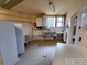 Pronájem komerční nemovitosti, Krnov - Pod Bezručovým vrchem, Albrechtická, 80 m2