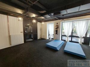 Pronájem komerční nemovitosti, Krnov - Pod Bezručovým vrchem, Albrechtická, 80 m2