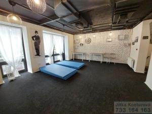 Pronájem komerční nemovitosti, Krnov - Pod Bezručovým vrchem, Albrechtická, 80 m2