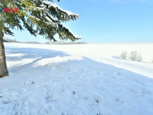 Prodej chalupy, Horní Olešnice - Ždírnice, 104 m2