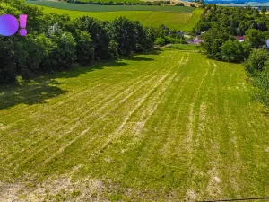 Prodej pozemku pro bydlení, Stará Ves, 6016 m2