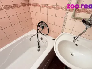 Prodej chalupy, Vejprty, Husova, 200 m2