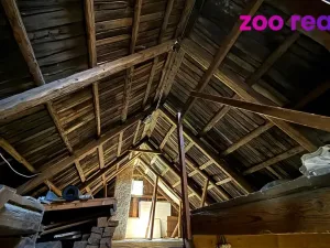 Prodej chalupy, Vejprty, Husova, 200 m2