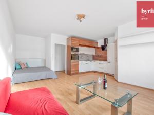 Pronájem bytu 1+kk, Ostrava - Moravská Ostrava, Puchmajerova, 34 m2