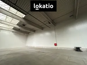 Pronájem skladu, Ostrava, 711 m2