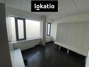 Pronájem skladu, Ostrava, 3682 m2