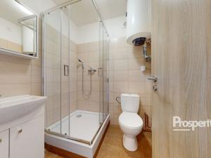 Pronájem bytu 1+kk, Mlékojedy, 35 m2