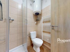 Pronájem bytu 1+kk, Mlékojedy, 35 m2