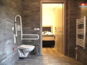 Prodej ubytování, Český Krumlov - Plešivec, 5. května, 750 m2