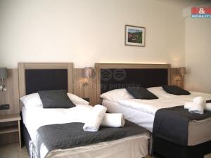 Prodej ubytování, Český Krumlov - Plešivec, 5. května, 750 m2