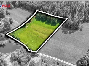 Prodej pozemku pro bydlení, Červená Voda, 7993 m2