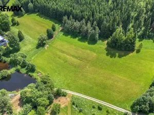 Prodej pozemku pro bydlení, Červená Voda, 7993 m2