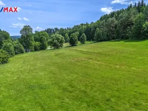 Prodej pozemku pro bydlení, Červená Voda, 3672 m2