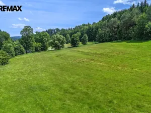 Prodej pozemku pro bydlení, Červená Voda, 3948 m2