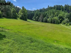 Prodej pozemku pro bydlení, Červená Voda, 3948 m2