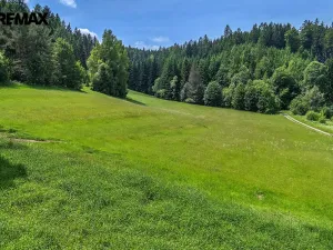 Prodej pozemku pro bydlení, Červená Voda, 4045 m2