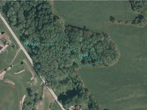 Dražba pozemku, Horní Stropnice, 2463 m2