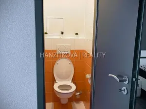 Pronájem bytu 3+1, České Budějovice, Lipenská, 80 m2