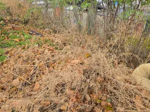 Prodej pozemku pro bydlení, Brno, Mikulčická, 605 m2