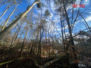 Prodej lesa, Všehrdy, 3720 m2