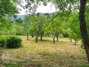 Prodej rodinného domu, Karlovice, 208 m2