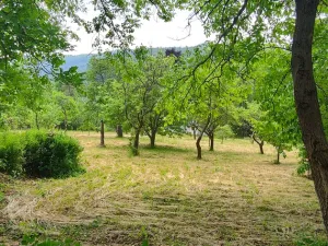 Prodej rodinného domu, Karlovice, 208 m2