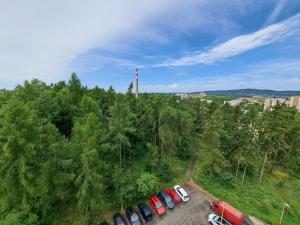 Prodej bytu 1+1, Příbram - Příbram VIII, Sportovní, 39 m2