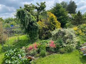 Prodej pozemku pro bydlení, Svojetice, Kamenická, 2443 m2