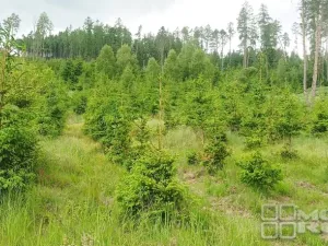 Prodej lesa, Městečko Trnávka - Lázy, 42338 m2