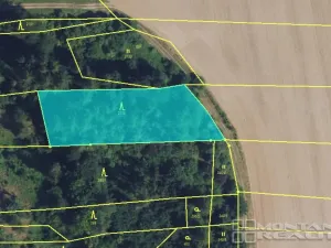 Prodej lesa, Městečko Trnávka - Lázy, 42338 m2