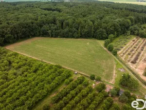 Prodej pozemku pro bydlení, Těchlovice, 11163 m2