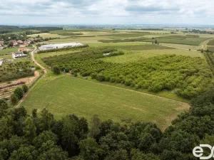 Prodej pozemku pro bydlení, Těchlovice, 11163 m2