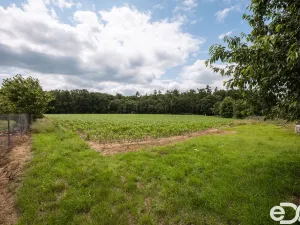 Prodej pozemku pro bydlení, Těchlovice, 11163 m2