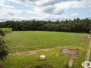 Prodej pozemku pro bydlení, Těchlovice, 11163 m2