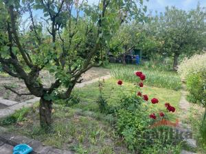 Prodej chaty, Opava, Zahradní, 10 m2