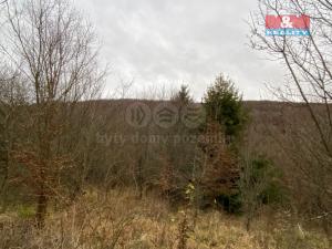 Prodej lesa, Šarovy, 11619 m2