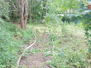 Prodej louky, Votice, 1118 m2
