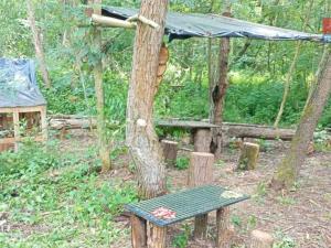 Prodej louky, Votice, 1118 m2