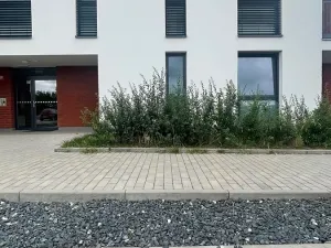 Pronájem bytu 1+kk, Kolín, Zásmucká, 28 m2