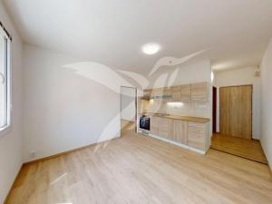 Pronájem bytu 1+1, Plzeň, Karla Steinera, 36 m2