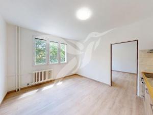 Pronájem bytu 1+1, Plzeň, Karla Steinera, 36 m2