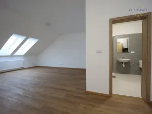Pronájem bytu 2+kk, Kladno, Jana Palacha, 113 m2