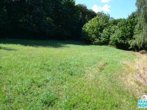 Prodej pozemku pro bydlení, Rybniště, 6043 m2