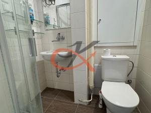 Pronájem bytu 1+kk, Valašské Meziříčí, Křižná, 20 m2