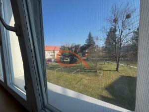 Pronájem bytu 1+kk, Valašské Meziříčí, Křižná, 20 m2