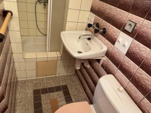 Prodej rodinného domu, Sušice - Sušice II, Na Štěbetce, 219 m2